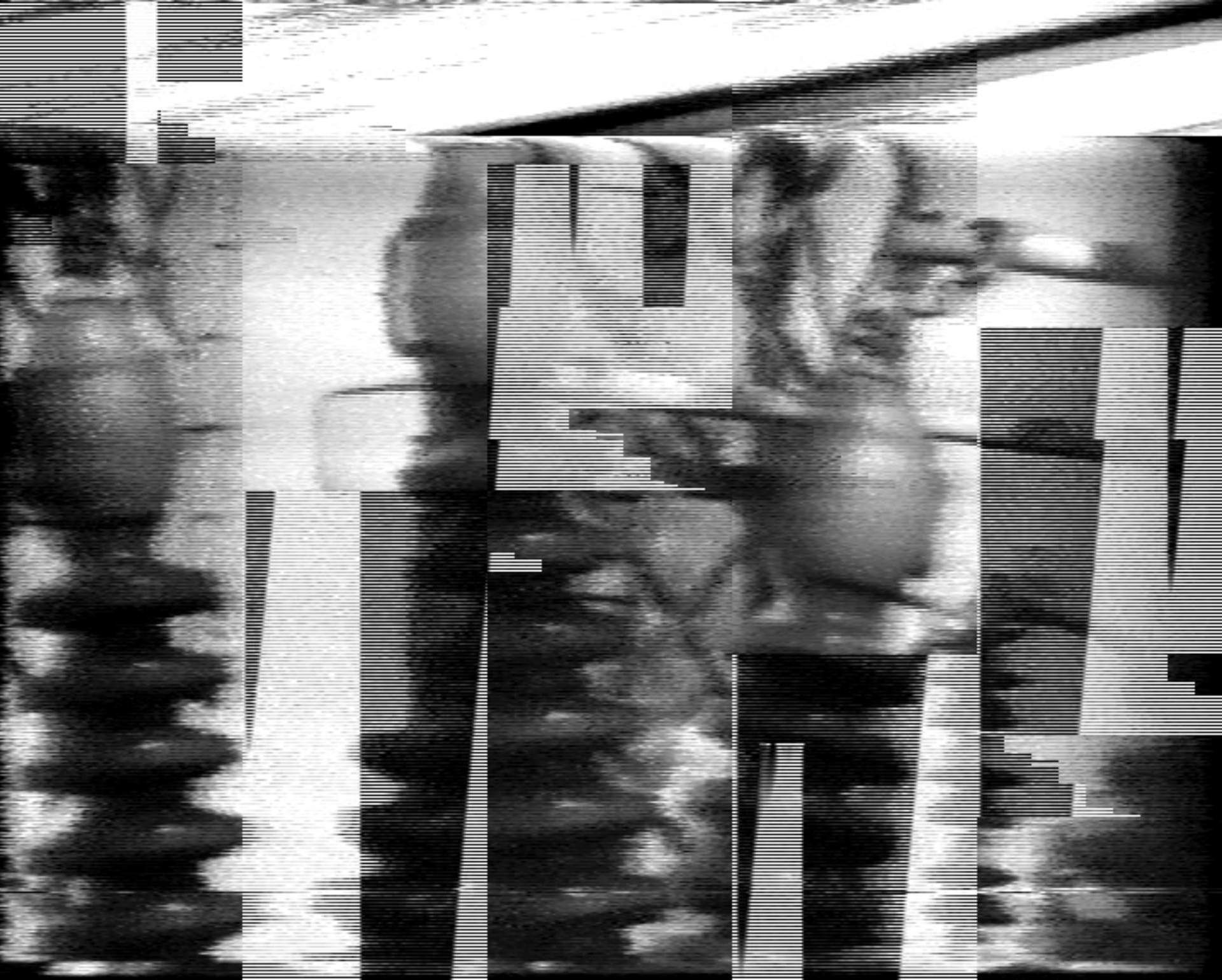 Glitched out black and white image of power transformers